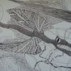 237 DSC00904