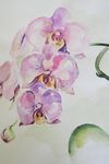 Aquarell,42x30 (3)