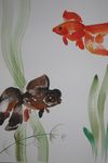 Nach Japan  42x30  Aquarell,Tusche (14)